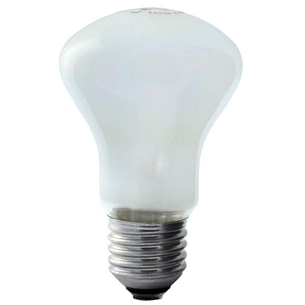 Elinchrom EL-23002 Innstillingslys 100W E27 sokkel, 196V, 3200kelvin, ca75timer